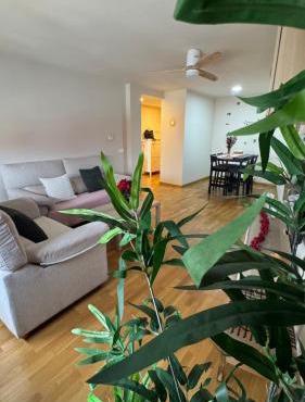 Apartamentos Suites Iscar
