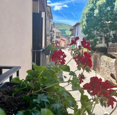 Apartamentos Ubaga
