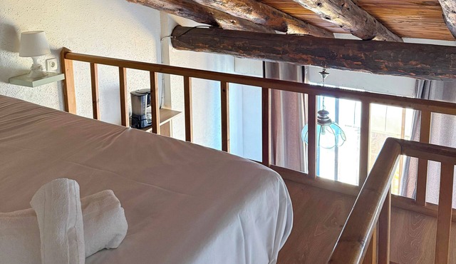 APARTAMENTOS VAQUERS MIKKA 3000
