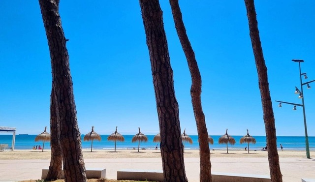 APARTBEACH SYMBIOSIS AND EQUESTRIAN ACTIVITIES
