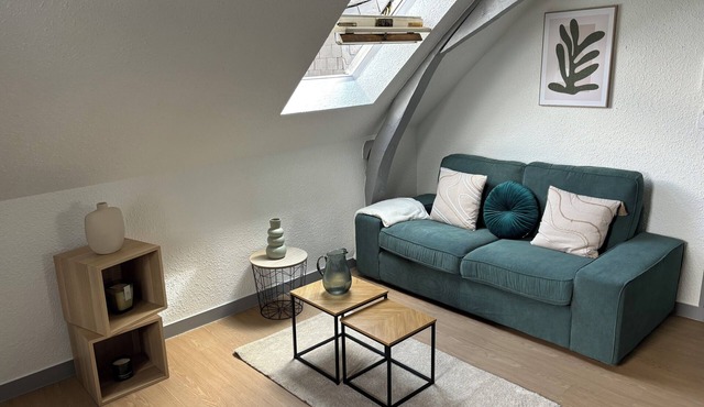 Apartee - charming T2 in Laval - 10 minutes walk from downtown