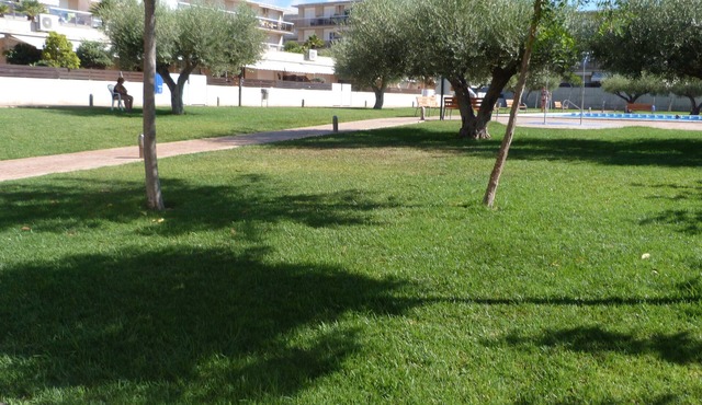 Apartment in ALCANAR PLATJA, Costa Daurada, Spain