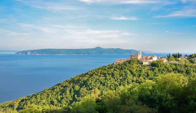 Apartments Erika (61341-A1) - Moscenicka Draga (Opatija)
