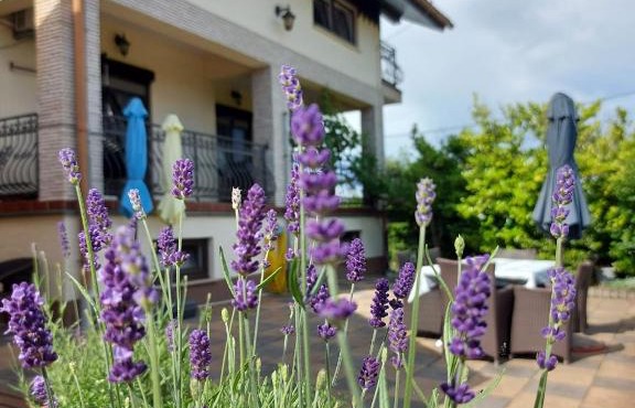 Apartman Nada
