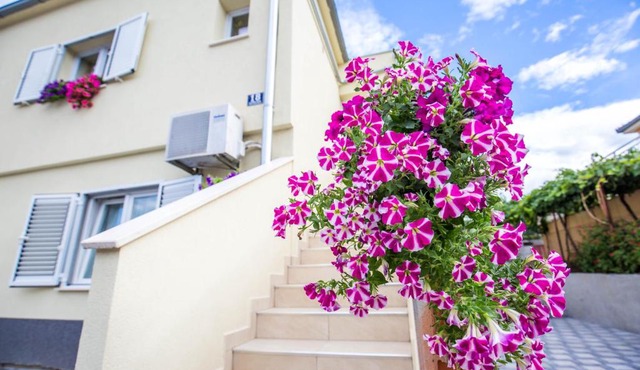 Apartman Pepa