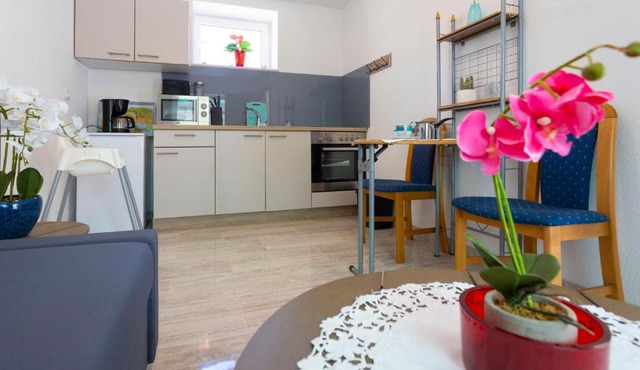 Apartman Salta (cijeli prostor)