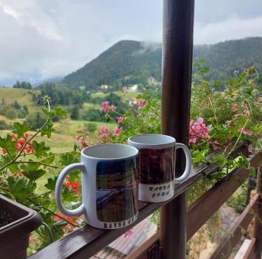 Apartman Skender 3* Ravna Gora