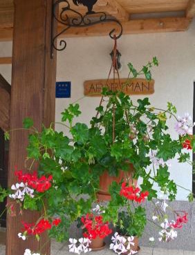 Apartman Thea Gomirje