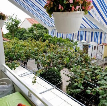 Apartmani podaca