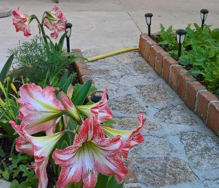 Apartmani Rukonić Aleksandar