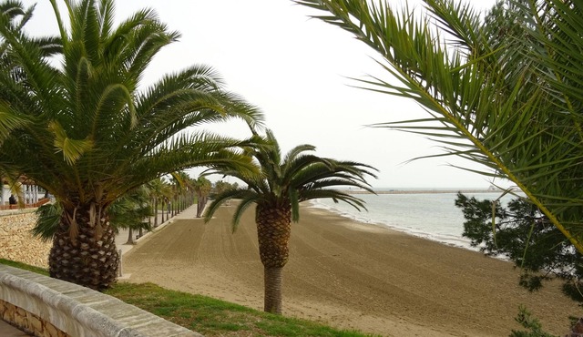 Apartment 5 minutes from Sant Carles de la Ràpita beach