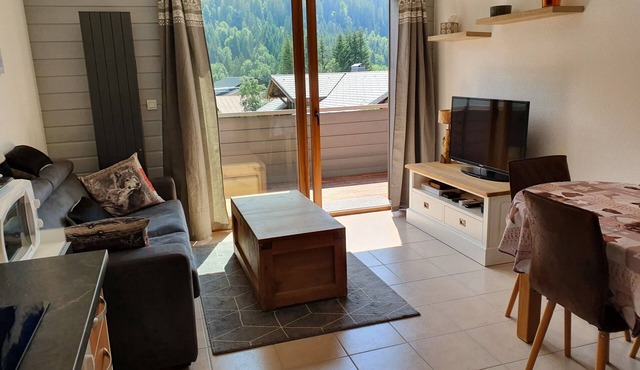 Apartment T2 300m from the Panthiaz cable car 4 pers 40m2