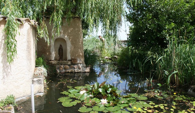 apartment by the pool