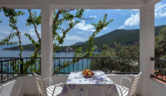 Apartment and Rooms Nikola (38301-A4) - Zastrazisce - island Hvar