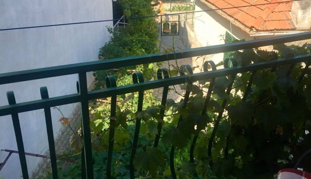 Apartment Monika (47861-A1) - Kaprije - island Kaprije