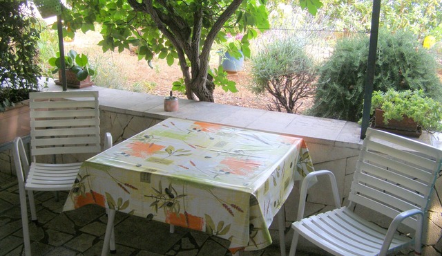 Apartment Željka (32301-A2) - Seget Vranjica