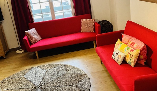 Apartment 15 meters from the city center of Medieval Mirepoix .Sleeps 4