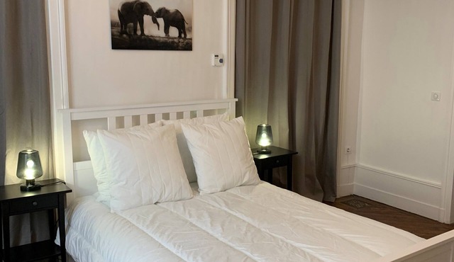 Apartment (2) city center