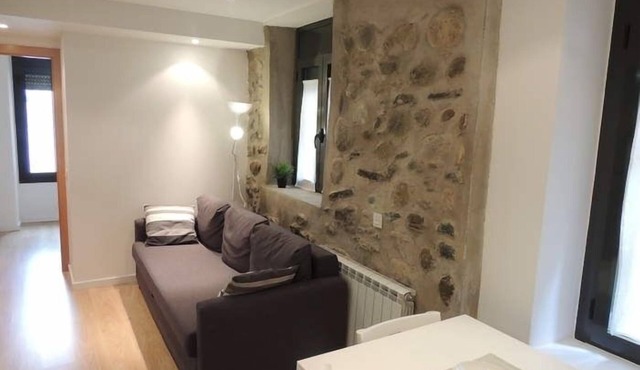 Apartment 2 rooms in Puigcerdà Center (Accessible)