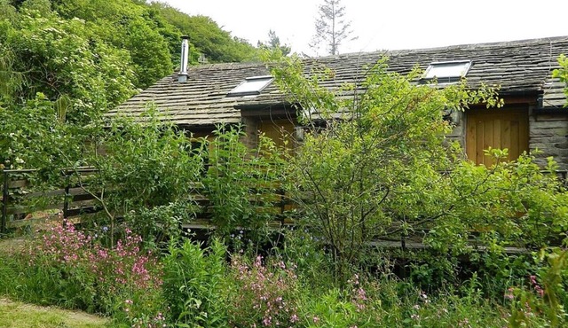 Apartment 2 Sleeps 3 (1Bedroom)