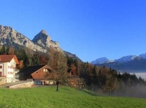 Apartment 2-Zimmerwohnung RIGI by Interhome