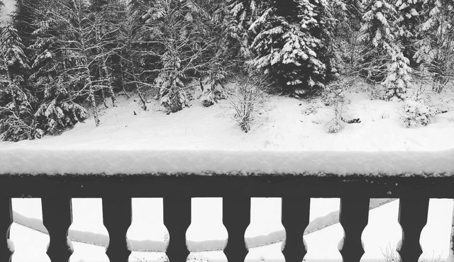 Apartment 200 m from ski slopes Station Des Monts D'Olmes, Montferier