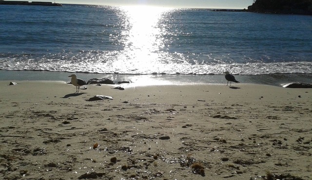 Apartment 3 Rooms 54 m²/Sleeps 5 - Residence with swimming pool