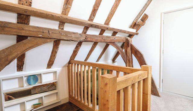 Apartment 4 Chameleon House