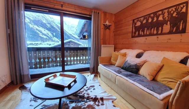 Apartment 4/6 people in Chamonix - Parking and Mont Blanc view