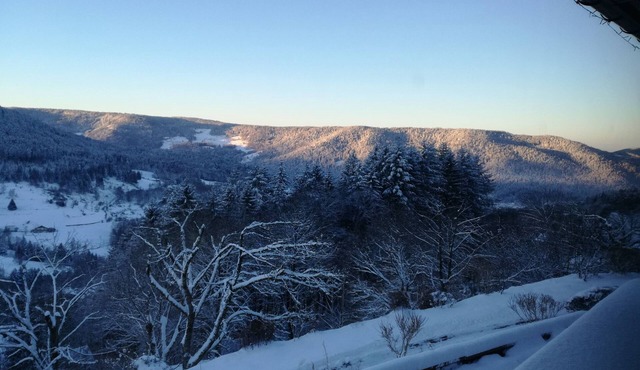 Apartment 4 persons Hautes Vosges