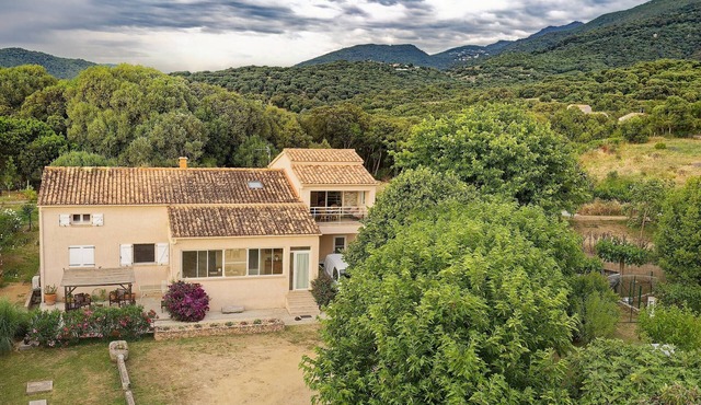 Apartment 5 km from the beach