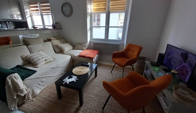 apartment 5 to 7 people 50 m2 city center facing south