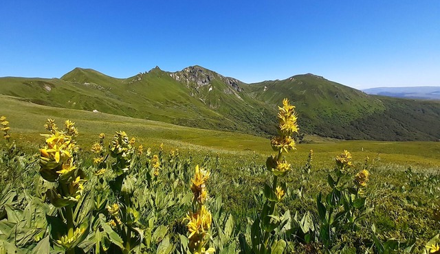 Apartment 6 people station Chastreix Sancy alt 1385m