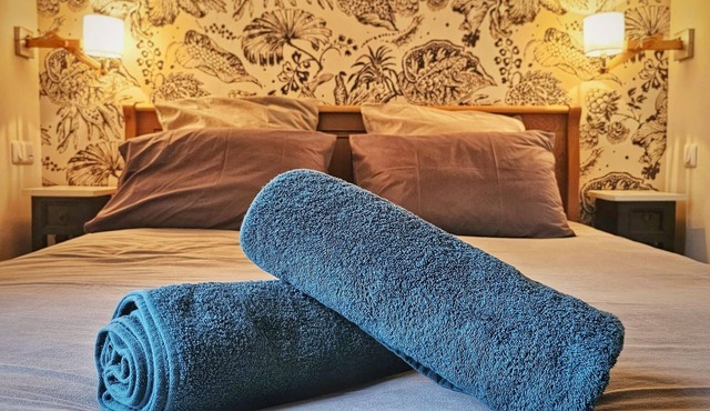 Apartment 80, 5* furnished tourist apartment - Vienne view