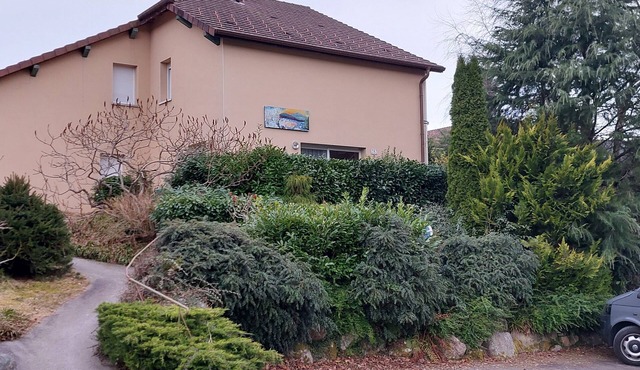 Apartment 800 m lake Xonrupt Longemer, greenery, terrace, pétanque court