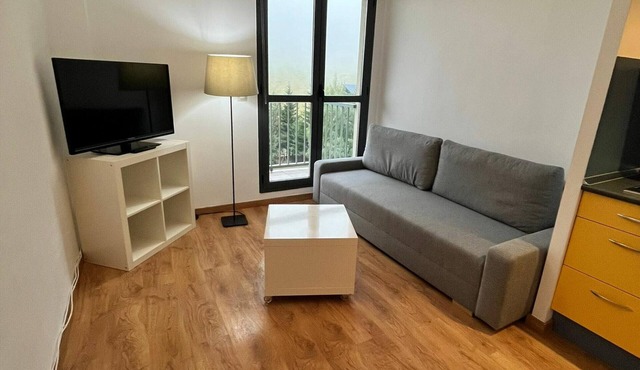 Apartment Aísa-Candanchú, 1 bedroom, 4 persons