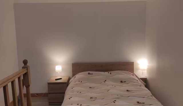 Apartment Alpha downtown, 1 to 4 people