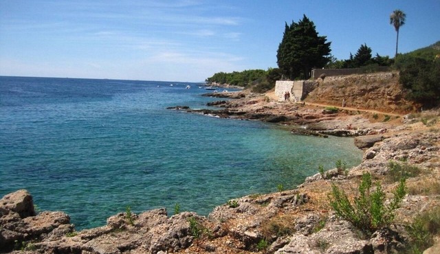 Apartment Ana - sea view; A3(4+1) - Zavala, Island Hvar, Croatia