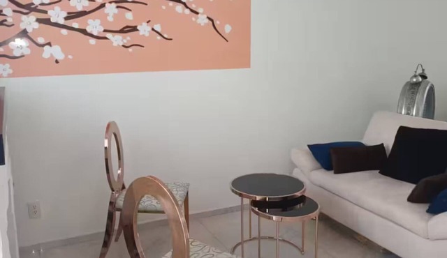 Apartment and Private Roof Garden! Roma/Condesa!