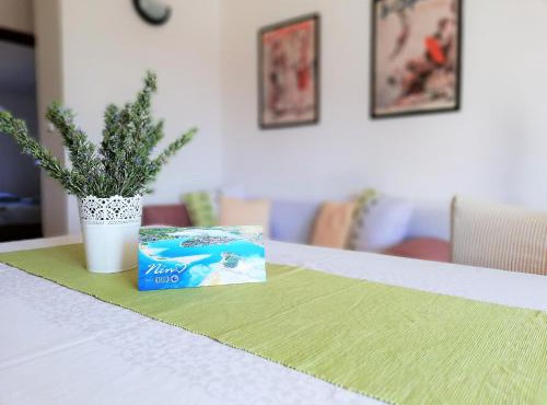 Apartment Anzotika