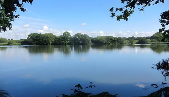 Apartment 'Au Clos Du Pont, Zen' with Sea View, Private Pool and Wi-Fi