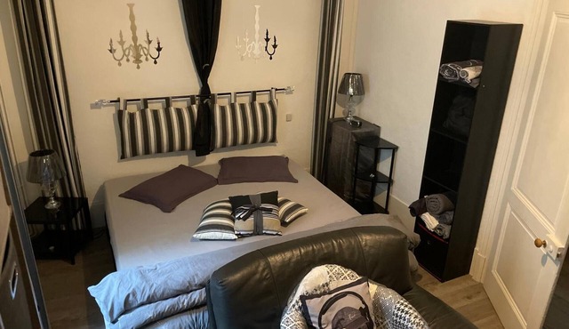 Apartment "Au Quai 1921" with Wi-Fi and Air Conditioning