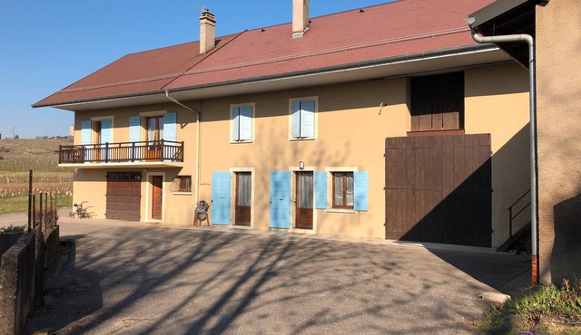 Apartment "Aux Volets Bleus" - Wi-Fi, Ground Floor, Parking