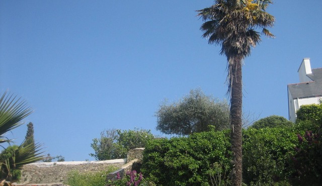 Apartment Belle Île