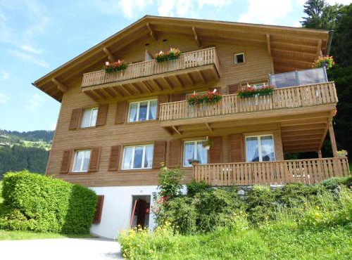 Apartment Berg Edelweiss by Interhome