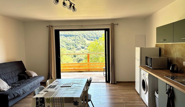 Apartment between sea and mountains, T2 new, all comfort, in Ocana, Corsica
