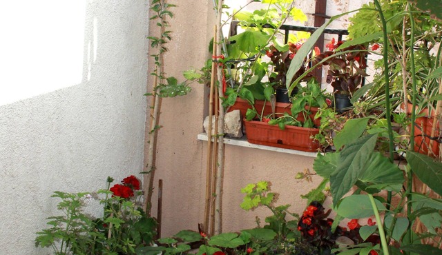 Apartment Bucevic