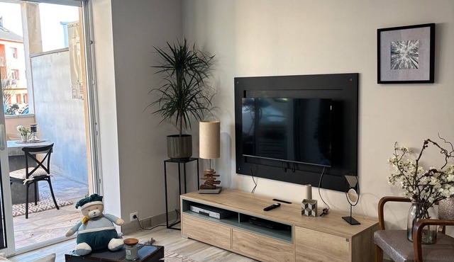 Apartment "Calina" with Private Terrace, Wi-Fi and Air Conditioning