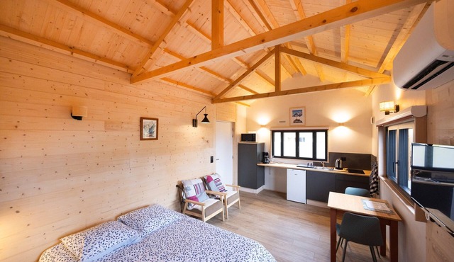 Apartment 'Cabane' with Wi-Fi and Air Conditioning