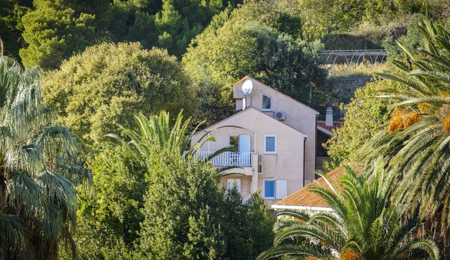 Apartment Celtis In The Heart Of Mlini